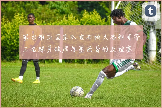 塞尔维亚国家队宣布帕夫洛维奇等三名球员缺席与墨西哥的友谊赛