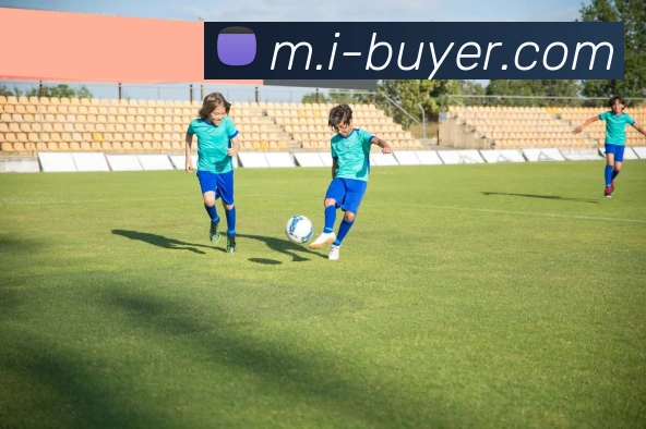 乐鱼网页版登录入口服务体系